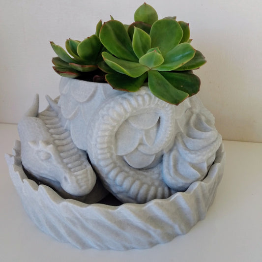 Dragons  Nest Planter